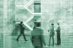 seguridad humana - rolando leiva